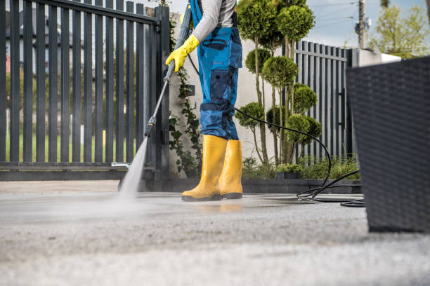 Best Driveway Pressure Washing  in Pocono Springs, PA